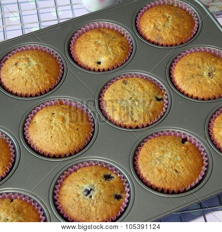 Muffin Cooked In Tray