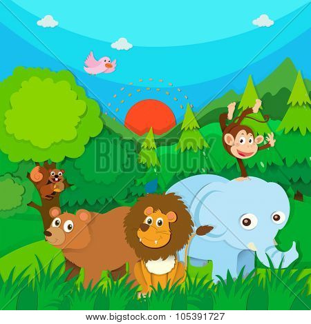 Wild animals in the forest illustration