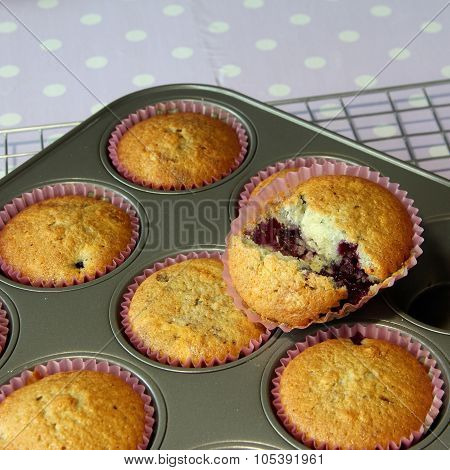 Muffin Cooked In Tray