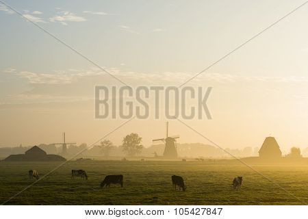 Two Wind Mill And Cows Streefkerk