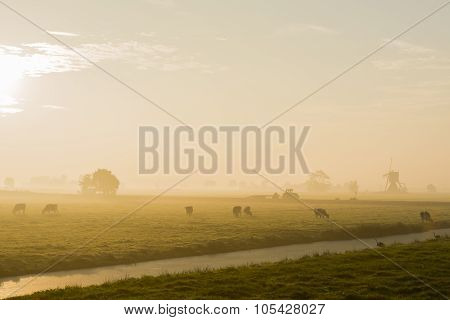 Wind Mill And Cows Streefkerk