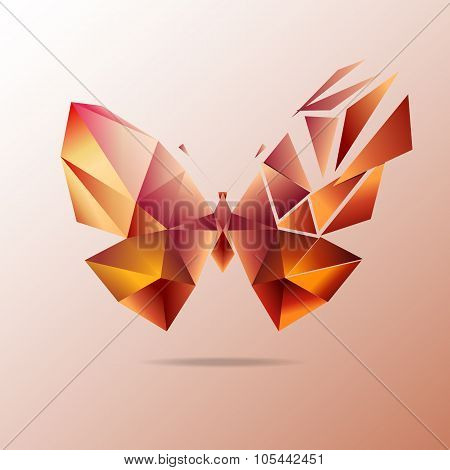 Butterfly polygon. Abstract explosion.