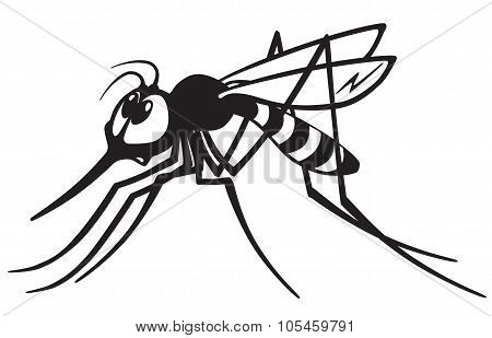 mosquito black and white
