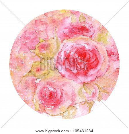 Watercolor Pink Roses
