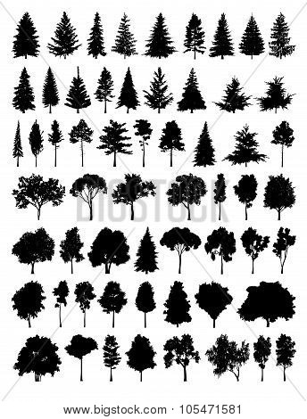 Set silhouette tree