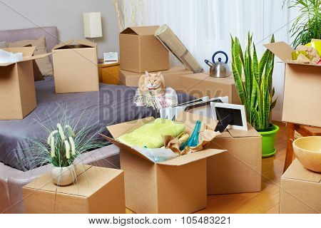 Moving boxes in new apartment. Real estate concept.