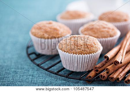 Apple sauce muffins with spices