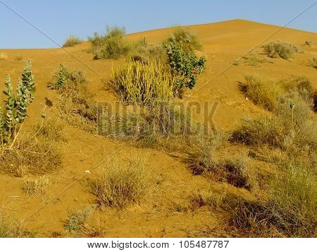 View of Thar desert near Jaisalmer in Rajasthan India. Thar desert forms a natural boundary between India and Pakistan.