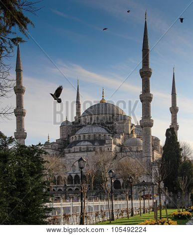 Blue Mosque in Istanbul, Turkey