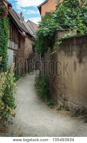 Street with half-timbered medieval houses in Eguisheim village along the wine route, Alsace, France