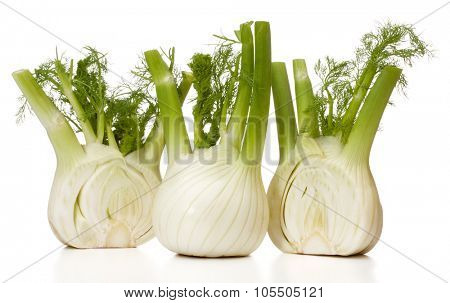 Fresh fennel bulb isolated on white background close up