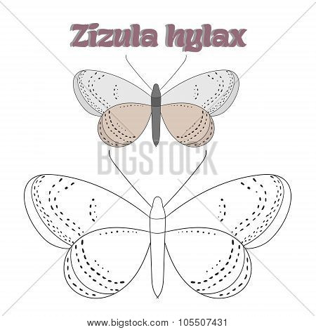 Educational game coloring book  butterfly vector