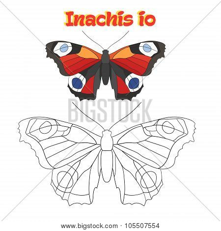 Educational game coloring book  butterfly vector