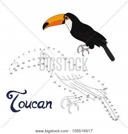 Educational game connect dots to draw toucan bird