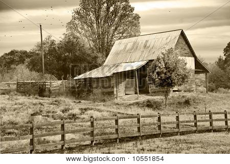 Old Barn sepya tonu