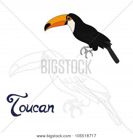 Educational game connect dots to draw toucan bird