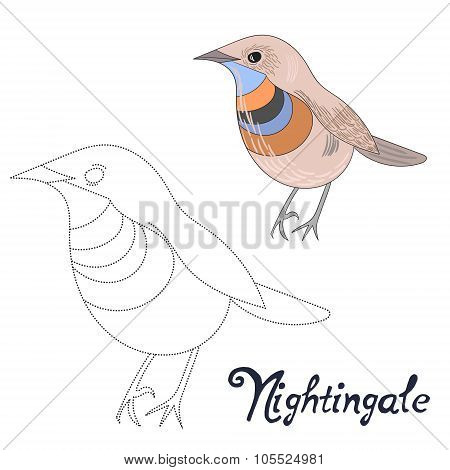 Educational game connect dots draw nightingale