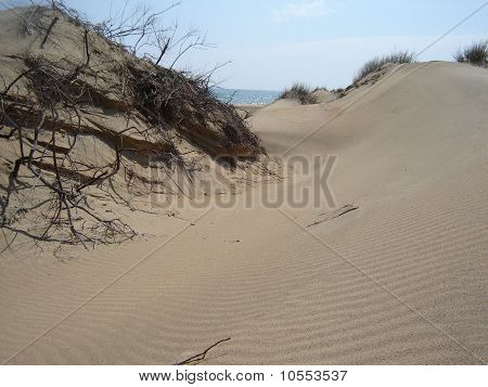 paisaje desértico,