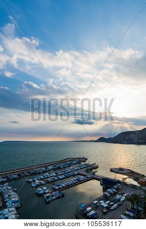 Alicante Bright Hill Portrait