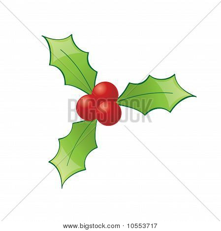 Christmas Holly