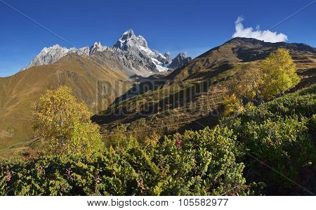 Autumn landscape. The mountain panorama. Sunny day. Mount Ushba, Main Caucasian ridge. Zemo Svaneti, Georgia 