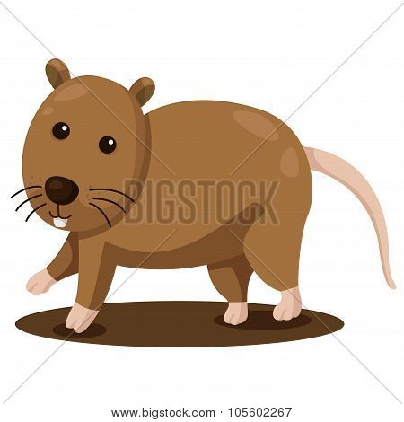 Illustration of Letter 'N is for Nutria'