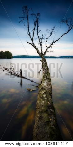 Long Exposure Landscape Of Lake Shore