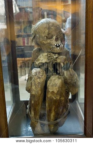 Peruvian Mummies Bodies