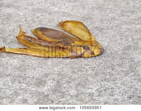 Banana Peel