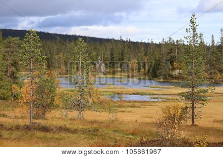 Lakes At Myrflodammen Near Saelen, Sweden On A Sunny September Day