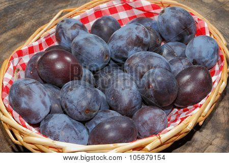 Freshly Harvested Plums