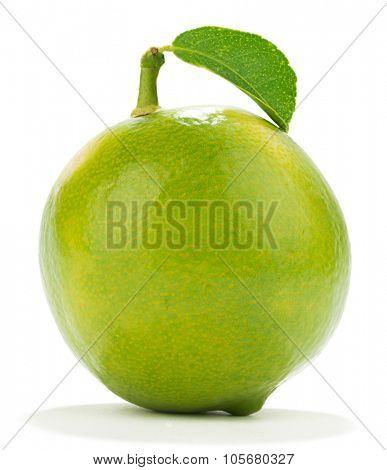 Sweet lemon with leaf isolated on white background. 