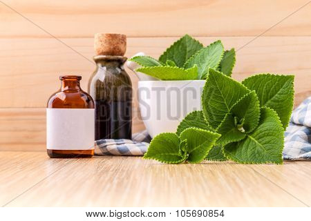 Country Borage,indian Borage,coleus Amboinicus Lour With White Mortar And Essential Extract Oil On W