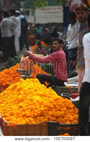 Pune, India - October 21, 2015: Weighing Marigold
