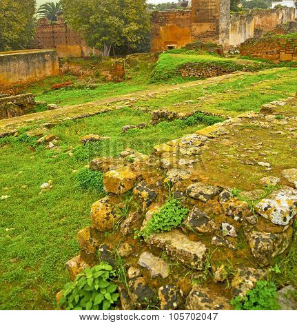 Chellah  In Morocco Africa The Old Roman Deteriorated Monument And Site