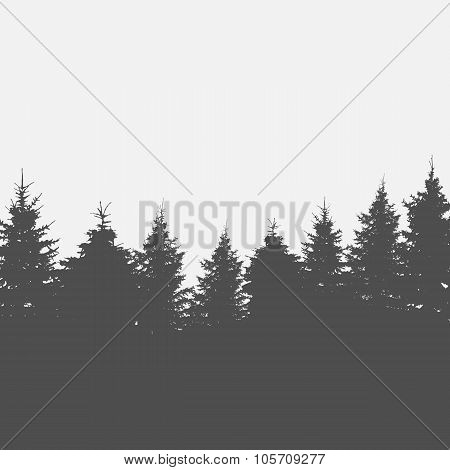 Image of Nature. Tree Silhouette. Vector Illustration