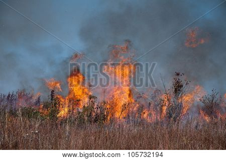 Brush fire 2