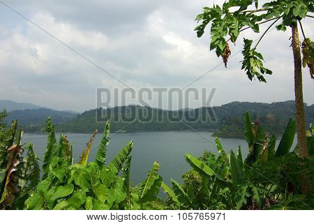 Surat Thani, Thailand - January 19, 2014: Ratchaprapha Dam In Khao Sok National Park