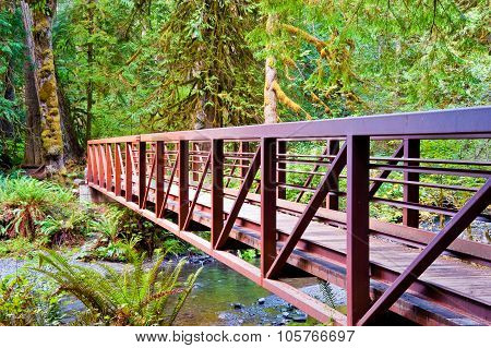 Bridge