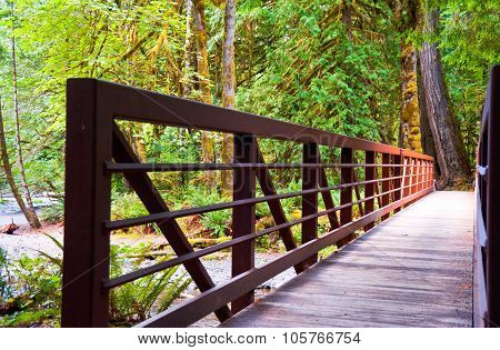 Bridge