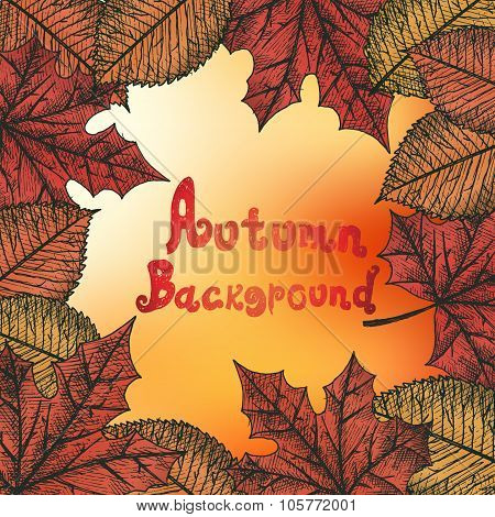Autumn background. Isolated objects.