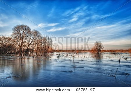 spring flood in the field