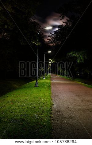 Walkway Lane Path At Night, Moonlit Park Alley.