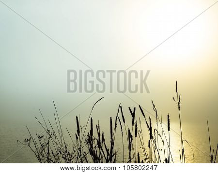 Beautiful Morning Fog Over A Lake