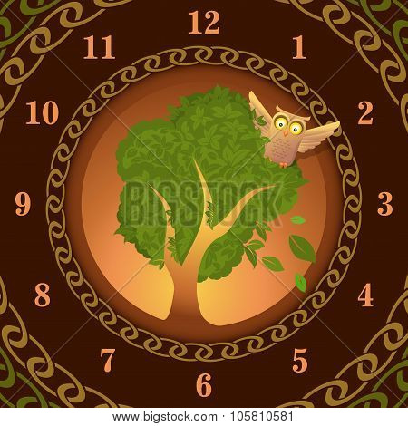 Watch of owl on oak