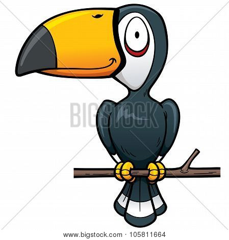 Hornbill