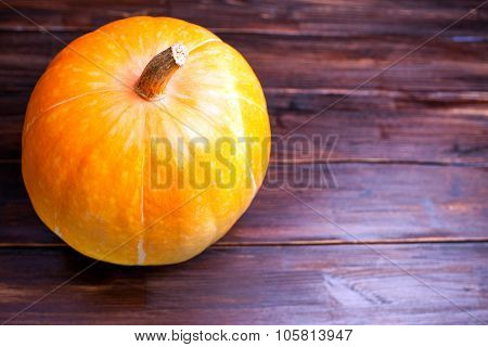 One Pumpkin On A Wooden Table