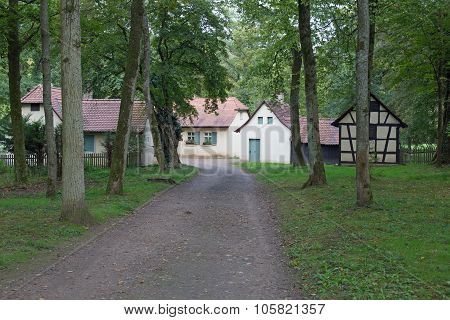 Small village in forest