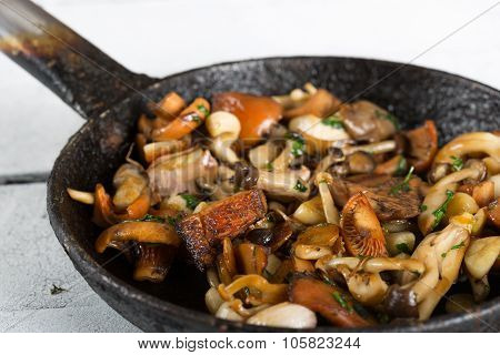 Sauteed Wild Mushrooms