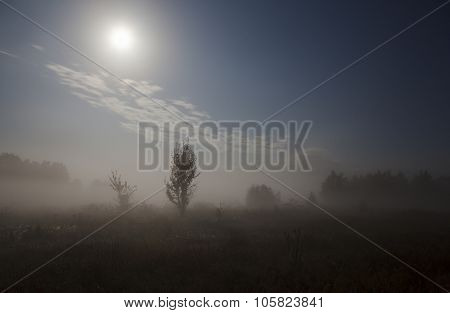 the night fog in the field and moon